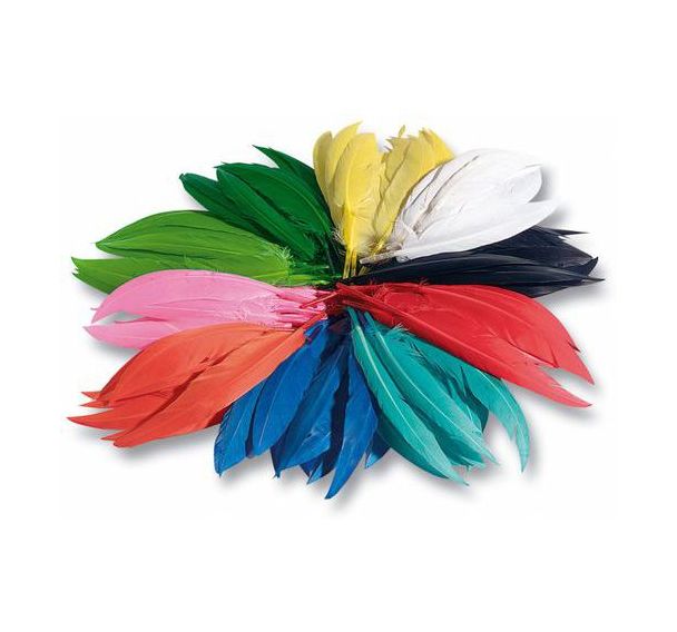 Sachet 100 gr plumes indiens