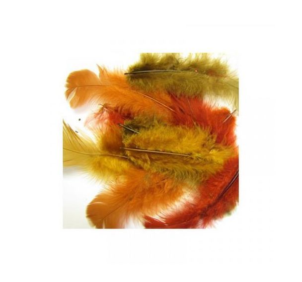 Sachet 150 plumes assorties couleurs de l'automne