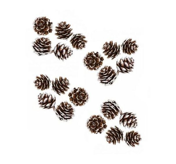 Sachet 20 petites pommes de pin