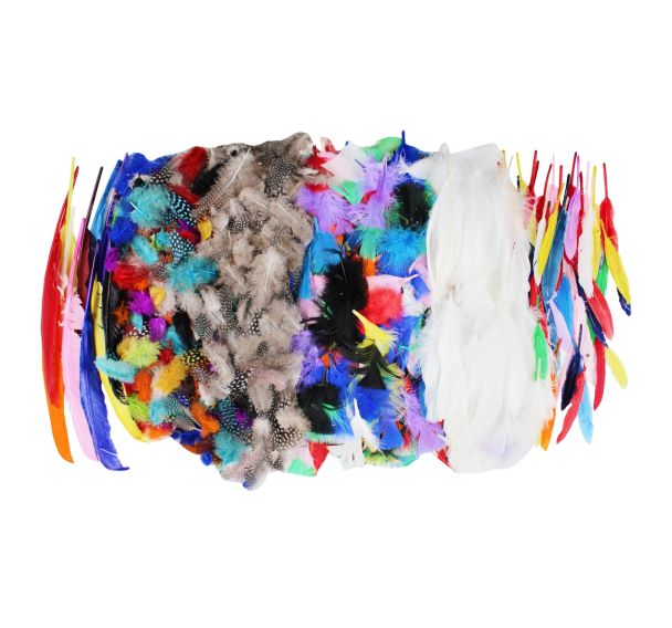 Sachet de 1000 plumes assorties