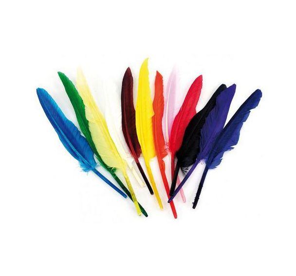 Sachet de 1000 plumes assorties