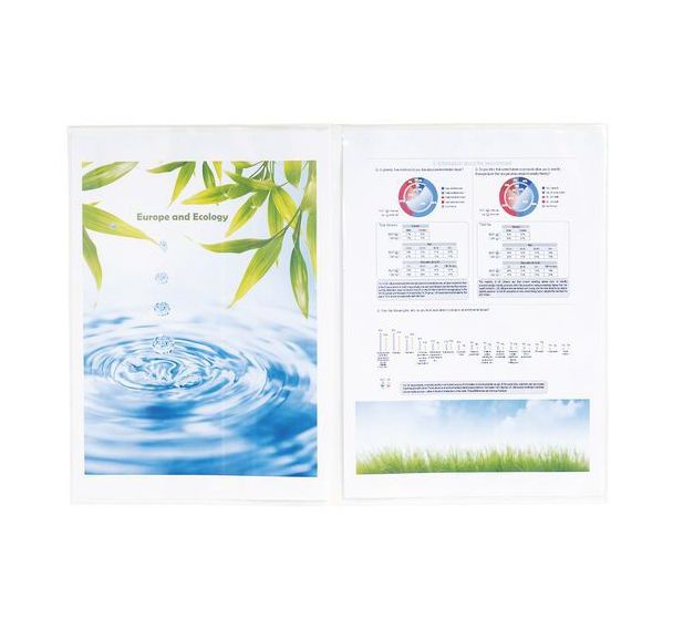 Sachet de 10 étuis de protection double pvc lisse 15/100e A4