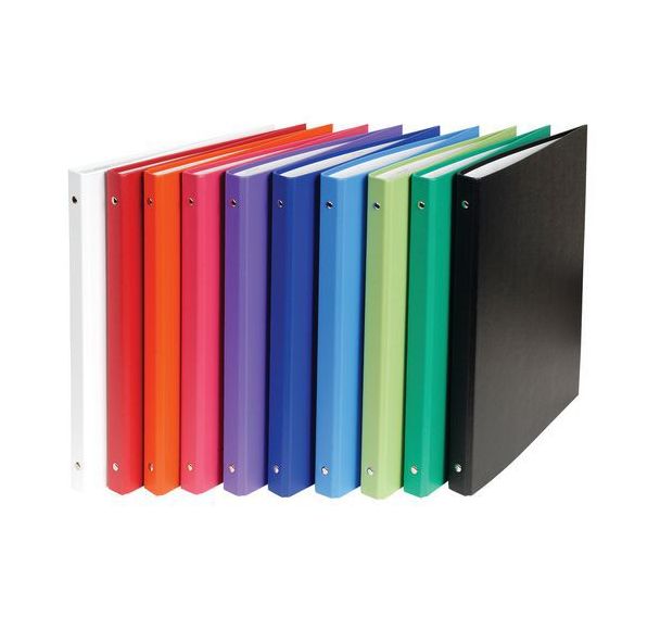 Set de 20 classeurs rembordé PP 4 anneaux 15mm A4 assorties