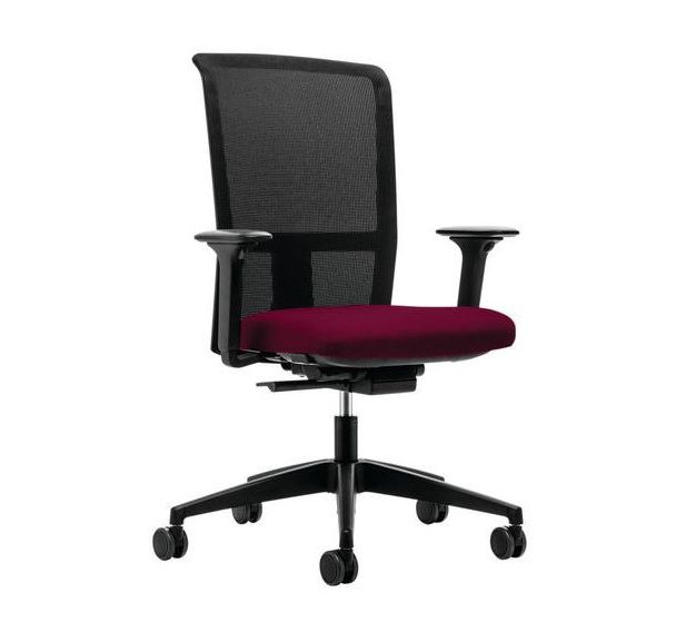 Siège de bureau synchrone automatique LX252 accoudoirs 4D - Interstuhl