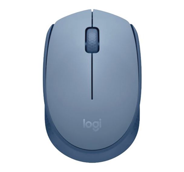 Souris M171 910-006866 - Logitech