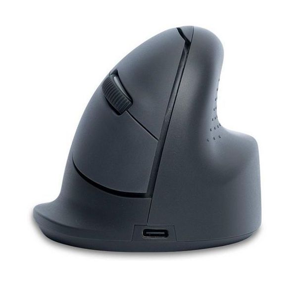 Souris ergonomique R-Go HE Basic Bluetooth droitier Moyenne