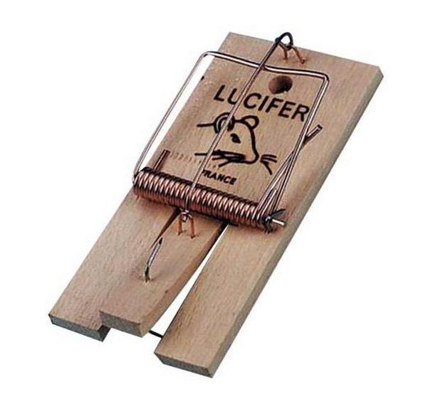 Tapette à rats - Lot de 15