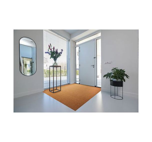 Tapis d'entrée brosse pure fibre coco - Tapis - BtB