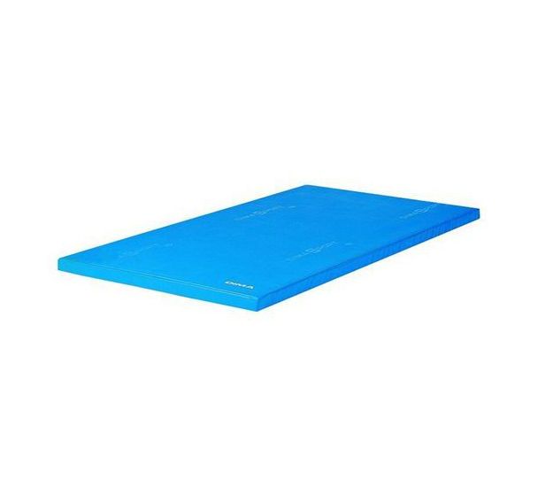 Tapis de gymnastique houssé 200 x 100 cm - Dimasport