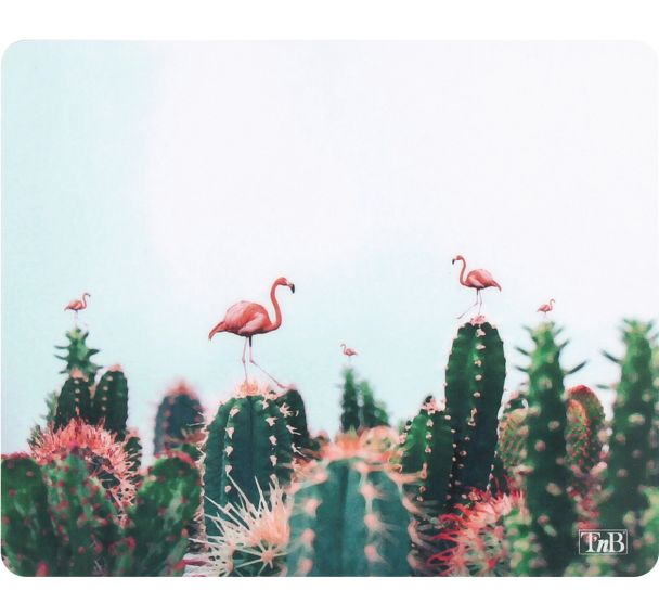 Tapis de souris Cactus Exclusiv