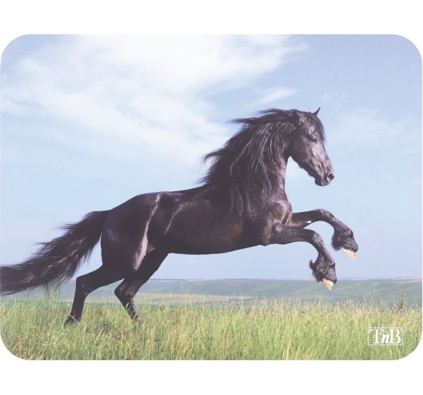 Tapis de souris illustré Horses