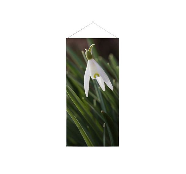 Tapisserie Murale Perce-neige A Fleurs Blanches - Showdown Displays