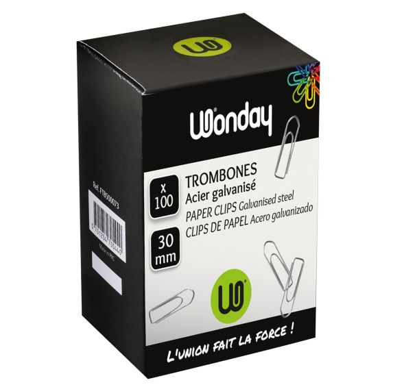 Trombone 30 mm (Boite de 100)
