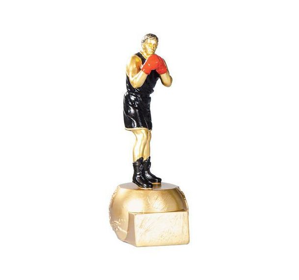 Trophée résine boxe - 20cm
