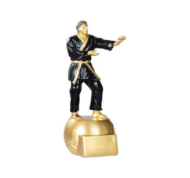 Trophée résine judo - 20cm