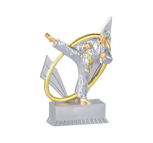 Trophée résine karaté - 12cm