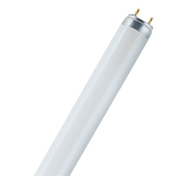 Tube fluorescent Lumilux - T8 - 58 W
