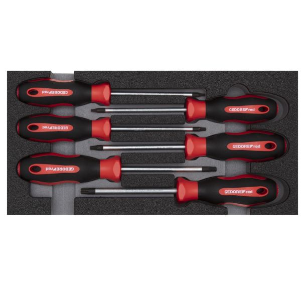 Vis dr.set TX 2/6 CT module 6 pcs.