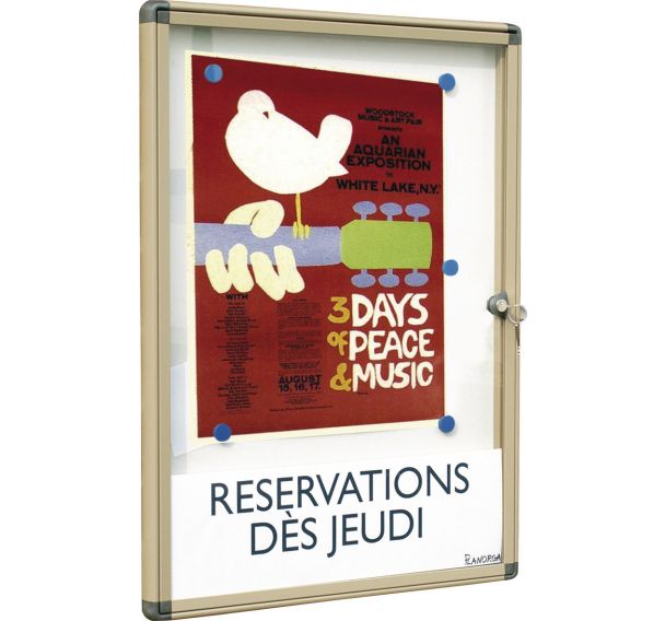 Vitrine affichage extérieur Alcor Planorga