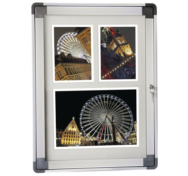 Vitrine murale exterieure Aloa Planorga