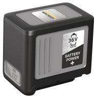 Batterie Power+ 36/60 6 Ah - 2.042-022.0
