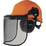 Casque type forestier complet
