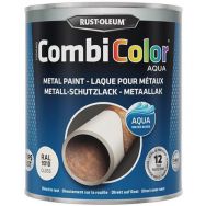 CombiColor Aqua 750mL - Rust-Oleum