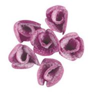 Lot de 100 Décor comestible violette cristallisée