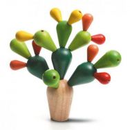 Mikado Cactus