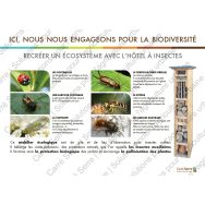 Panneau éducatif - Les insectes