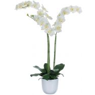 Phalaenopsis orchidée 100 cm - Vepabins