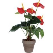 Plante artificielle Anthurium hauteur 40cm coloris vert rouge