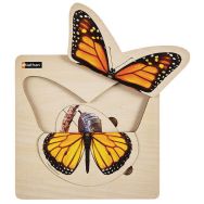 Puzzle cycle de vie le papillon