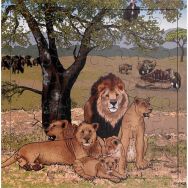Puzzle lions - 49 pièces