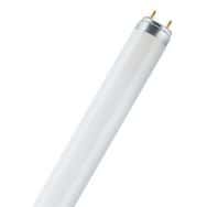 Tube fluorescent Lumilux - T8 - 58 W