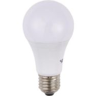 Ampoule LED GLS A60 à A67 - SPL