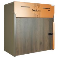 Armoire de charge Tabibox WT2 pour 20 tablettes 12'', charge secteur - Naotic
