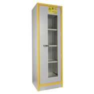 Armoire sécurité ignifuge 30 mn porte vitrée - Trionyx
