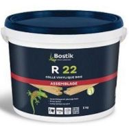 B.R22 Bb250G/C12