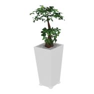 Bac carré KUBO SLIM composition Bonzai - Genexco