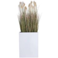 Plante artificielle Pampa - Tanaman