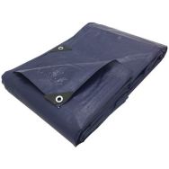 Bâche en polyéthylène armé 4,91 x 3,91 m Bleu