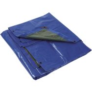 Bâche polyéthylène 2 x 3 m vert/bleu