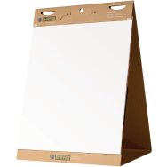 Bloc 20 feuilles chevalet repositionnables - Earth it