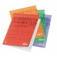 Cahier 17x22 cm 70g 96 pages seyes écolier NF 12