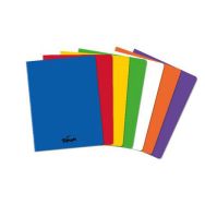 Cahier polypropylène 96 pages Seyes 24x32 cm 80g - Pichon