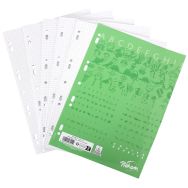 Copies doubles 200 pages 90g A4 perforées 5x5 (Etui de 50)