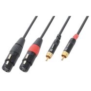 Cordon 2x XLR femelle - 2x RCA mâle - Power Dynamics