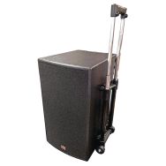 Enceinte amplifiée Mediax multifonction sans fil trolley - TAG