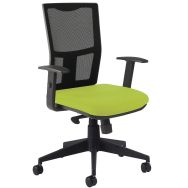 Fauteuil accoudoir réglable dossier résille noire - Manutan Expert